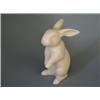 Image 1 : 1 Hotale Rabbit  Germany, white  