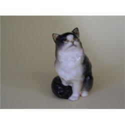 1 Royal Doulton Cat    