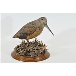 Woodcock Carving