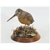 Image 2 : Woodcock Carving