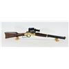 Image 1 : Henry Golden Boy Rifle