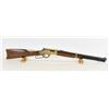 Image 1 : Henry Golden Boy Rifle