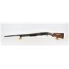 Image 2 : Winchester 1912 Shotgun