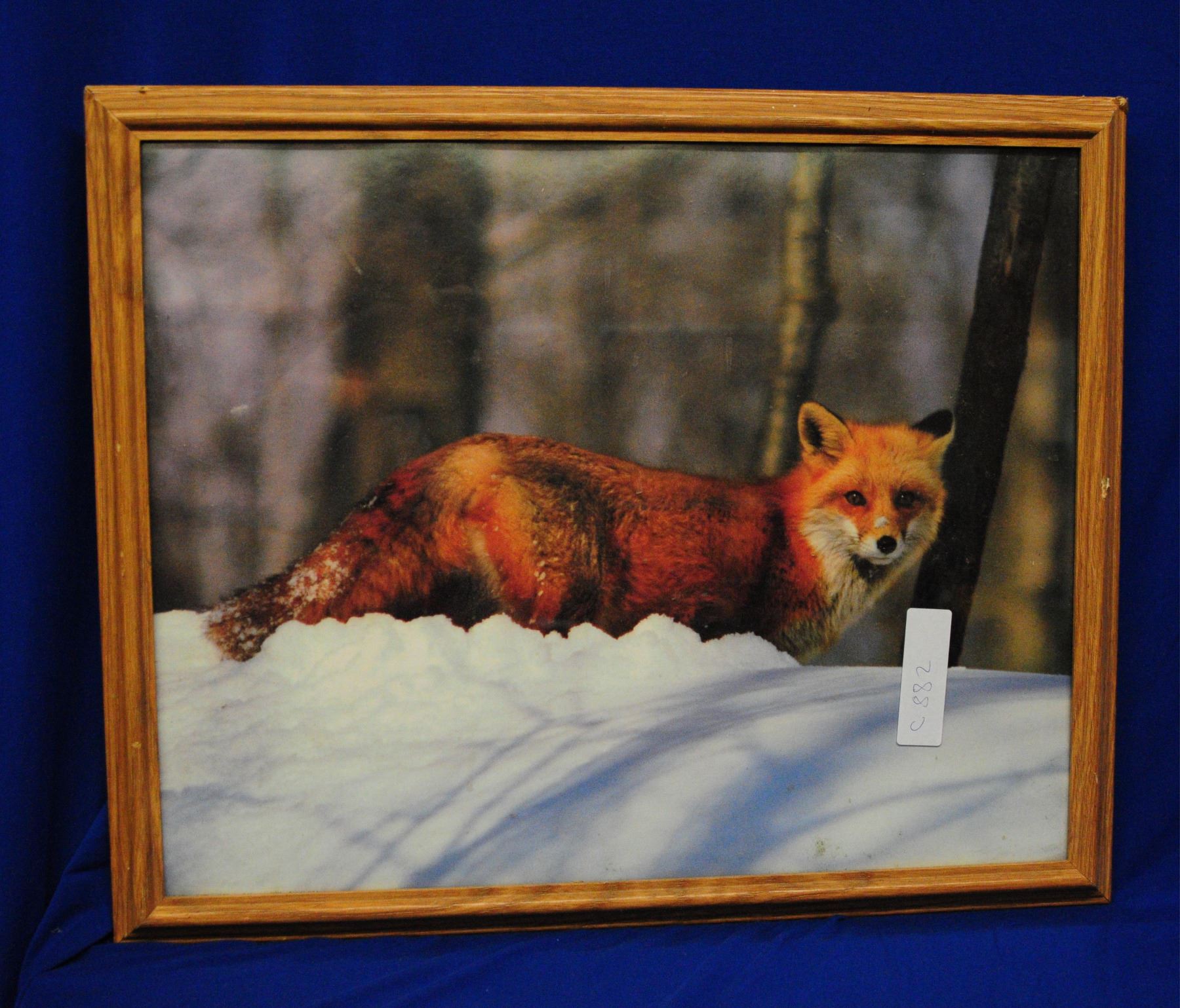 Wildlife Prints - Landsborough Auctions