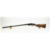 Image 2 : H. Dorwlal Chief Shotgun