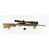 Image 1 : Ruger Model 10/22 Rifle