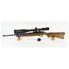 Image 2 : Ruger Model 10/22 Rifle