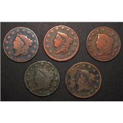 5-LARGE CENTS