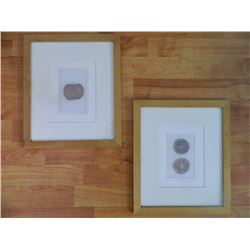 FRAMED ART - FRUIT - 2 TTL