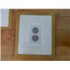 Image 2 : FRAMED ART - FRUIT - 2 TTL