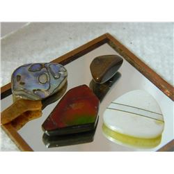GEMSTONES & OTHER - ABALONE & MORE - 5.7gm - 5PC TTL