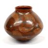 Image 1 : Mata Ortiz Pottery Jar by Daniel Gonzalez