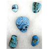 Image 1 : 5 Turquoise Cabochons