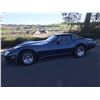 Image 2 : FRIDAY 1980 CHEVROLET CORVETTE 34000 ORIGINAL MILES