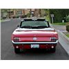 Image 14 : 1966 FORD MUSTANG A CODE CONVERTIBLE