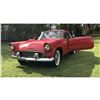 Image 3 : 1955 FORD THUNDERBIRD T BIRD