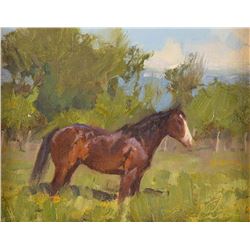 Bill Anton, oil on canvasboard