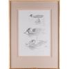 Image 2 : Ray Harris Ching, pencil