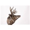 Image 11 : Sherry Salari Sander, three bronzes