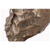 Image 13 : Sherry Salari Sander, three bronzes