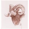 Image 1 : Bob Kuhn, conte crayon