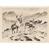 Image 1 : Carl Rungius, etching
