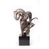 Image 1 : Tim Shinabarger, bronze