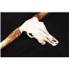 Image 2 : Longhorn Skull Wall Mount, 51" wide