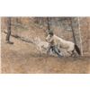 Image 1 : Richard Thomas, oil on board