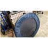 Image 2 : VINTAGE FOLDING COT AND EXERCISE TRAMPOLINE