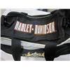 Image 3 : HARLEY BAG AND MOTOCYCLE PICTURES