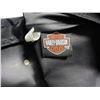 Image 5 : HARLEY BAG AND MOTOCYCLE PICTURES