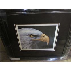 BALD EAGLE BY RANDY FEHR LIMITED EDITION PRINT 24897