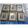 6 PICTURE FRAMES 8X10 INCH