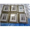 Image 1 : 6 PICTURE FRAMES 8X10 INCH