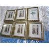 Image 2 : 6 PICTURE FRAMES 8X10 INCH