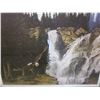 Image 2 : NESTWARD BOUND LIMITED EDITION PRINT