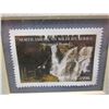 Image 3 : NESTWARD BOUND LIMITED EDITION PRINT