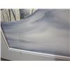 Image 3 : FRAMED WATER COLOR WINTER SCENE AND PASTEL PORTRAIT OF CAT