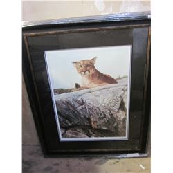 SKYLINED COUGAR BY A CASEY LIMITED EDITION PRINT 23973