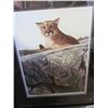 Image 2 : SKYLINED COUGAR BY A CASEY LIMITED EDITION PRINT 23973