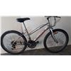 Image 1 : GREY SUPERCYCLE BIKE