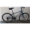 Image 1 : BLUE GIANT BIKE