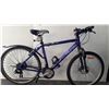 Image 1 : PURPLE TRIUMPH BIKE