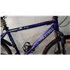 Image 2 : PURPLE TRIUMPH BIKE