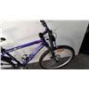 Image 3 : PURPLE TRIUMPH BIKE
