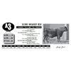 Image 1 : SCORE BRUISER 808
