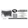 Image 1 : SCORE BRUISER 802