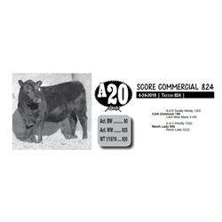 SCORE COMMERCIAL 824