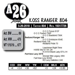 KOSS RANGER 804